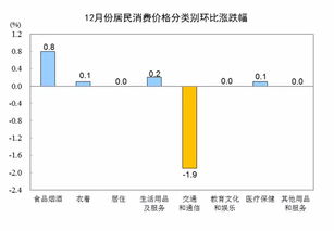 199it 互聯網數據資訊中心及其服務解析